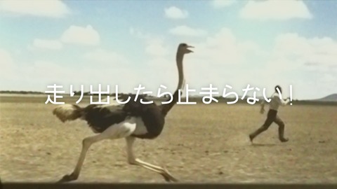 CMカット3
