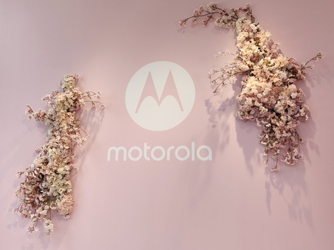 240315_motorola_popup_sakura_11_1200
