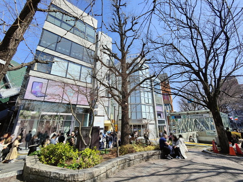 240315_motorola_popup_sakura_03_1200