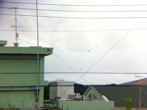 c9348537.jpg
