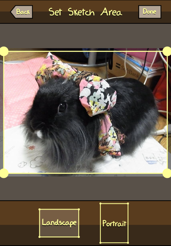 c985f3f0.png