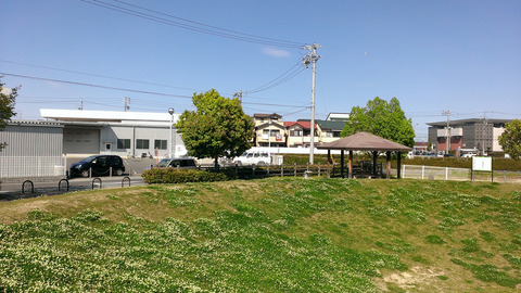 IMAG0102