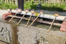 08
