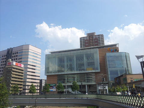 d8915813.jpg