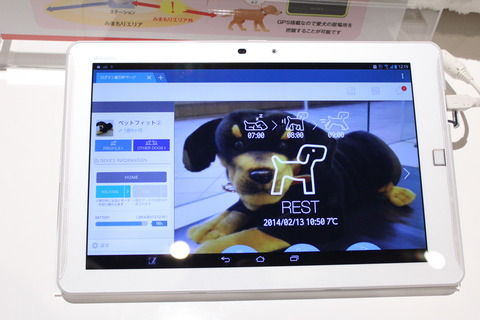 petfit_10