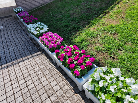 210808_mi11ultra_pic_02_2000