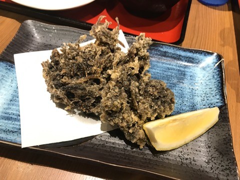 11_iphone
