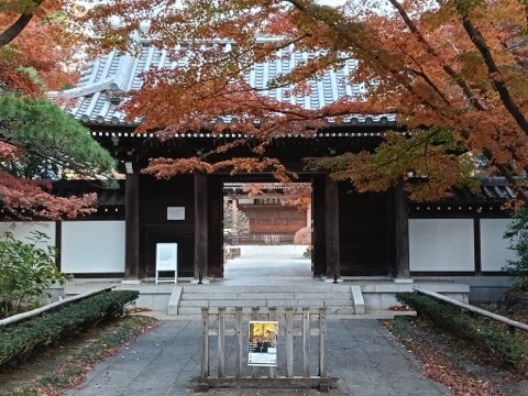 IMG20250110144609