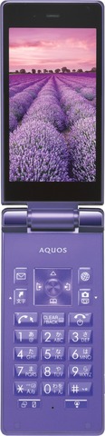 purple_open