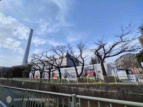 IMG_20240317_150740