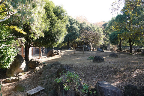 rx10m4-009