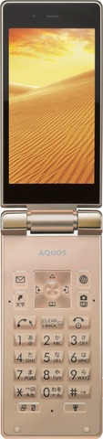 gold_open