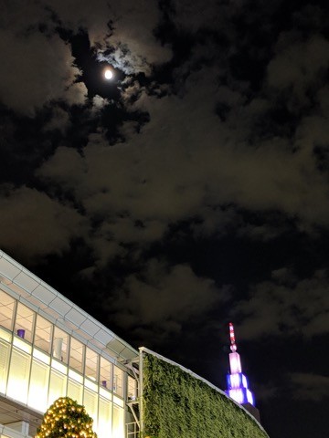 181123_pixel3_13_夜景04