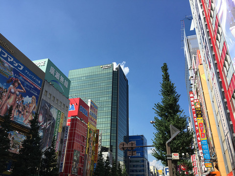 ip604