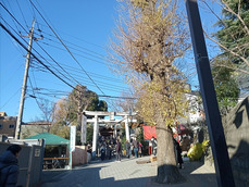 09