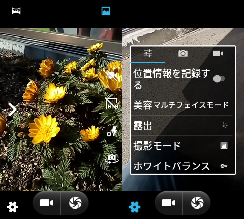 jelly-pro-002-020