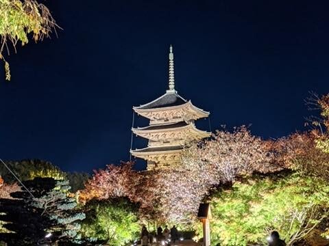 PXL_20201113_091724607