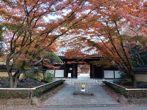 IMG20250110144603